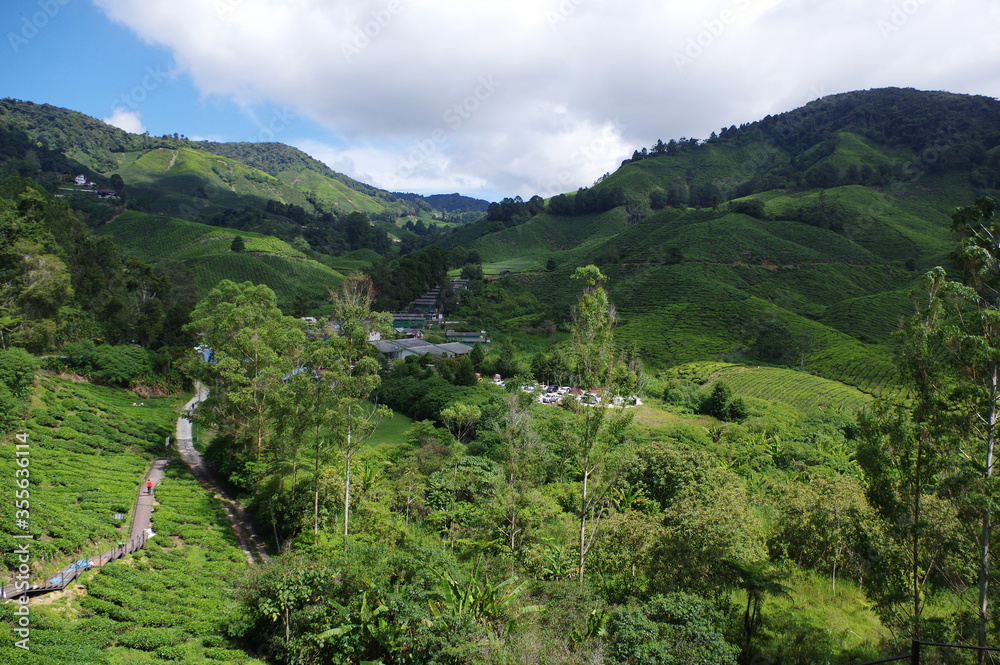 Les Cameron Highlands, État de Pahang, Malaisie Les Cameron Highlands, État de Pahang, Malaisie