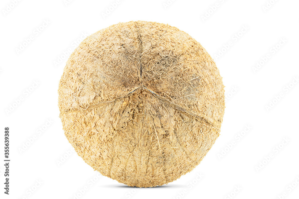 Coconut whole isolated on white background with clipping path side view Coconut whole isolated on white background with clipping path side view