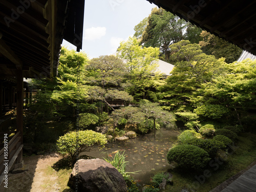 Jardines del Templo Eikando  en Kioto  Jap  n