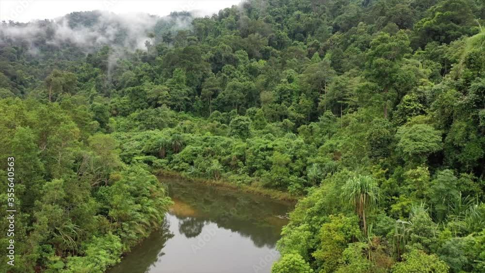 River, rainforest and fog aerial drone video in Southeast Asia River, rainforest and fog aerial drone video in Southeast Asia
