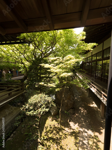 Jardines del Templo Eikando  en Kioto  Jap  n