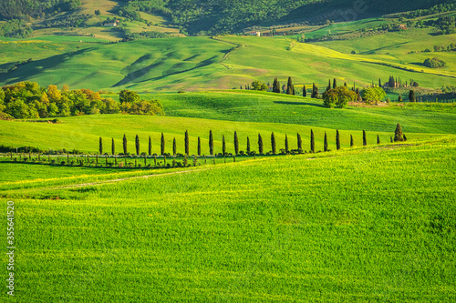 Landscape in Val d'Orcia valley of Tuscany, Italy.