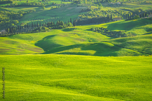 Landscape in Val d Orcia valley of Tuscany in spring time  Italy.