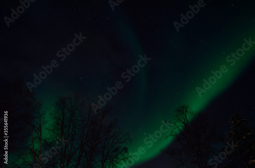 strong majestic aurora borealis, northern light on sky with trees © Arcticphotoworks
