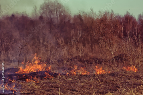 fire in the field / fire in the dry grass, burning straw, element, nature landscape, wind © kichigin19