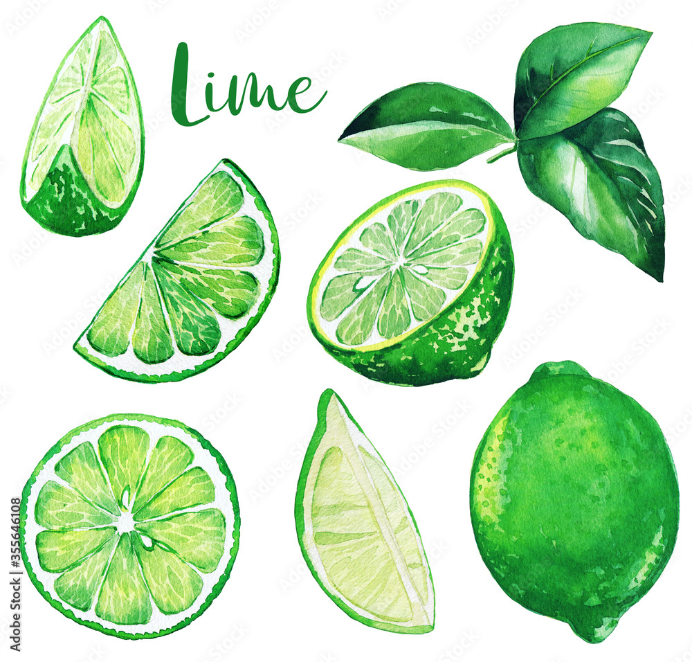 Fresh green limes and leaves, watercolor fruit