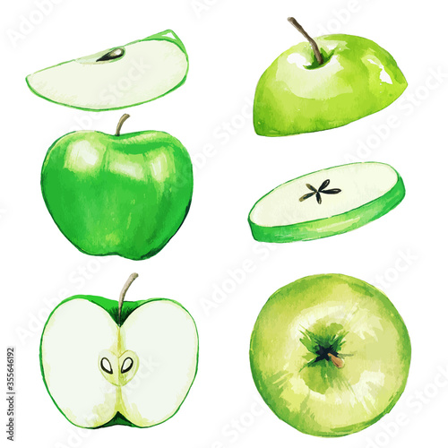 Green apple, half and slices, watercolor fruit