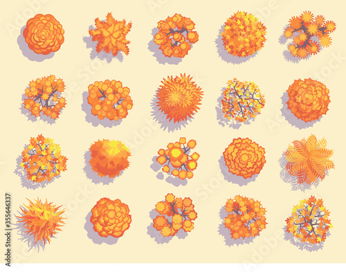 Autumn trees. Top view.
Various trees and plants for landscaping and maps. View from above.