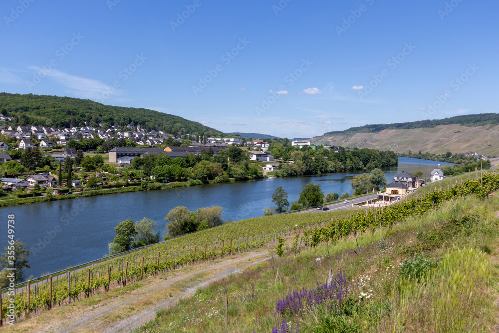 Wide angle view at Bernkastel-Kues and the river Moselle valley