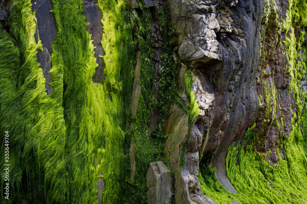 Gueirua beach, Asturias, Spain. Beach rocks covered with different tones of green moss. Gueirua beach, Asturias, Spain. Beach rocks covered with different tones of green moss.