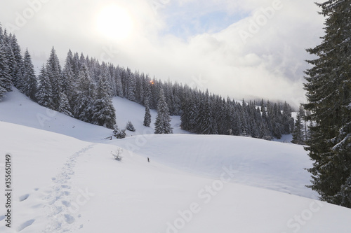snow, fog, snow-capped peak in the mountains © Dmytro