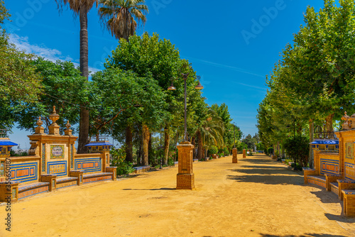 Alameda de Alfonso XIII park in spanish city Carmona photo