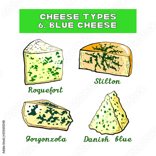 Vector illustration of cheese types and sorts