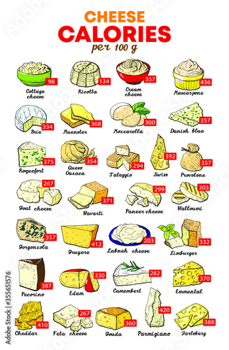 Vector illustration nutrients per 100 gram of cheese table dietary supplement 