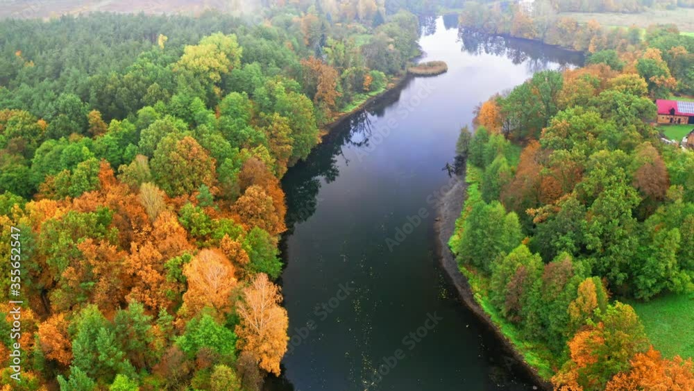 River and yellow autumn forest, aerial view, Poland River and yellow autumn forest, aerial view, Poland