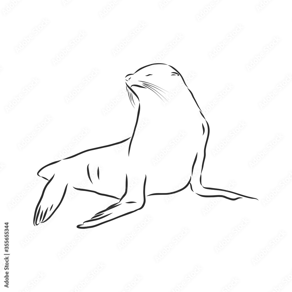 Obraz premium funny sketch of a sea lion augmented with bodypositive inscription. Navy seal animal, vector sketch illustration