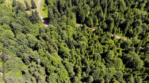 An aerial shoot done by drone of a green forest in a bird view. High quality footage