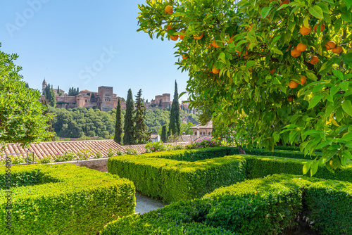 Garden at Casa del Chapiz in Granada, Spain photo