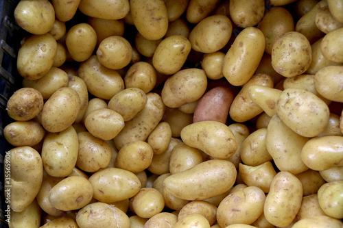 Close up of new potatoes for sale in a vegetable market