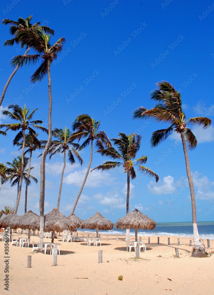 Beach of Cumbuco near Fortaleza, Brazil