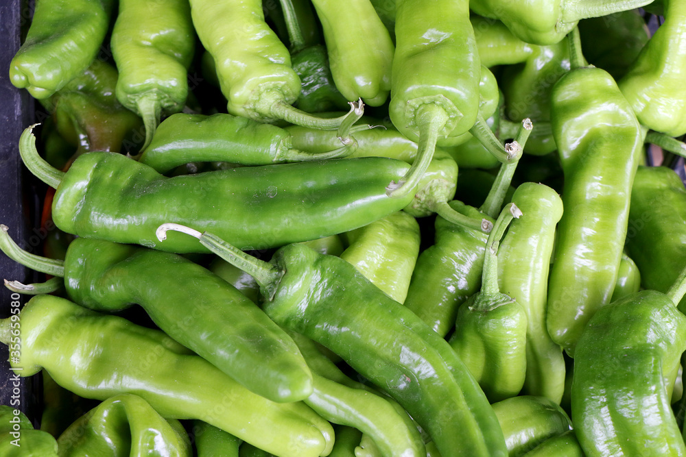 Closeup of sweet Italian green pepper friggitello on sale in a vegetable market Closeup of sweet Italian green pepper friggitello on sale in a vegetable market