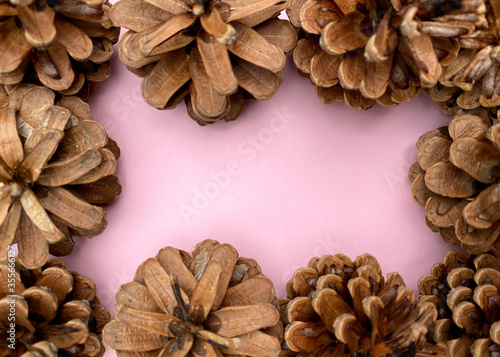 stylish background with pine cones on pink copy space for text. seasonal holidays concept