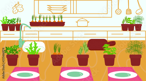 Kitchen table divided into two zones with the help of pots with herbs. Kitchen interior decorated with spicy herbs grown at home. Vector illustration, flat cartoon. Concept: ideas for decoration.