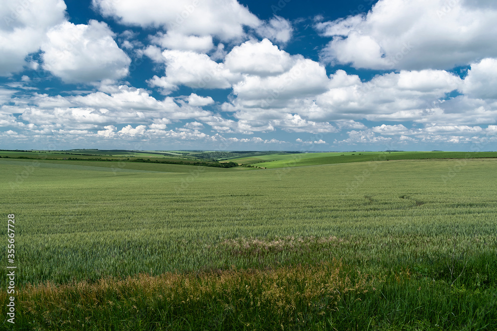 Obraz premium Close up to the agriculture field in the storm