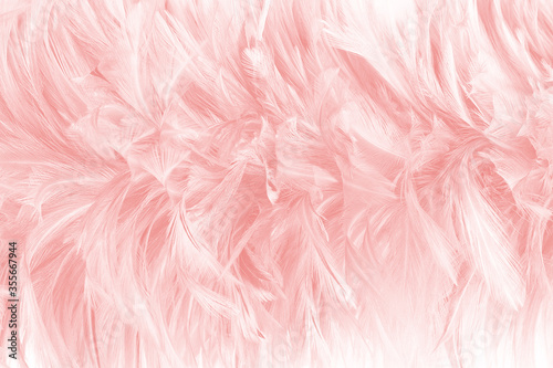 Beautiful light pink feather pattern texture background © nadtytok28
