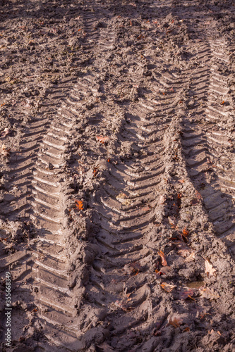 Tractor wheel track marks in the deep mud on sunny day. © Daniel