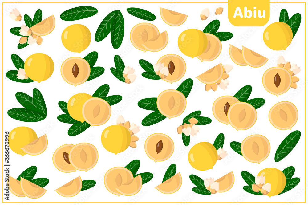 Set of vector cartoon illustrations with Abiu exotic fruits, flowers and leaves isolated on white background