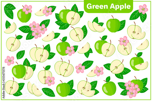 Set of vector cartoon illustrations with Green apple exotic fruits, flowers and leaves isolated on white backgroundv