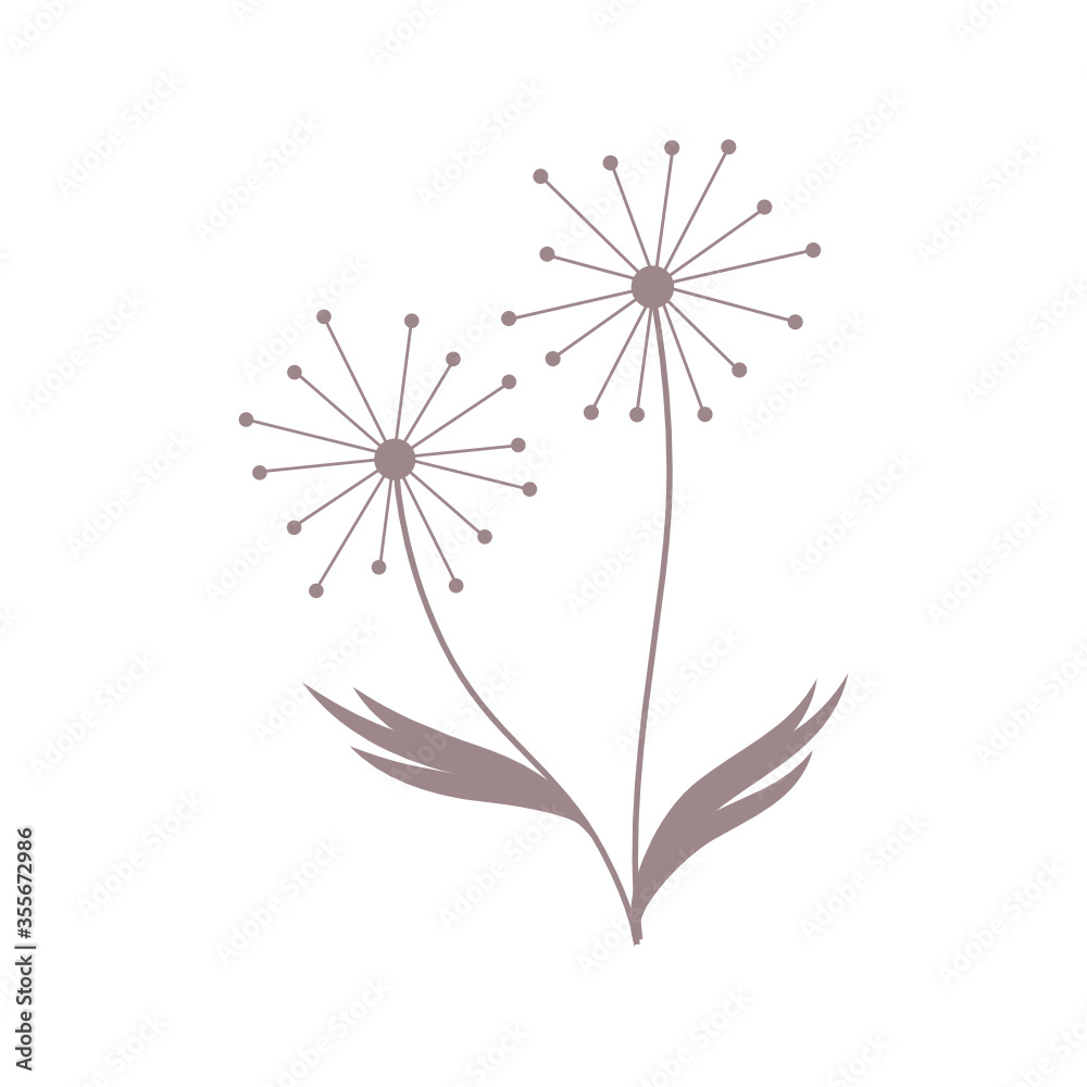 Fototapeta premium dandelion flower vector