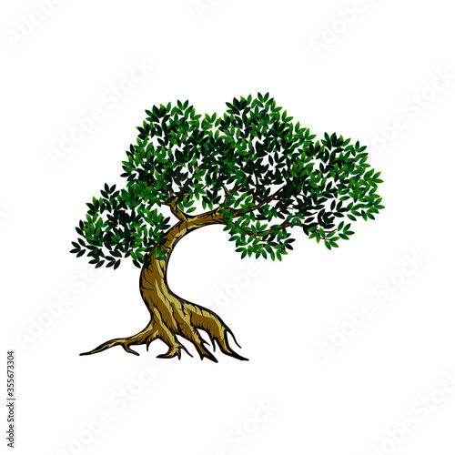 Mango tree vector isolated on white
