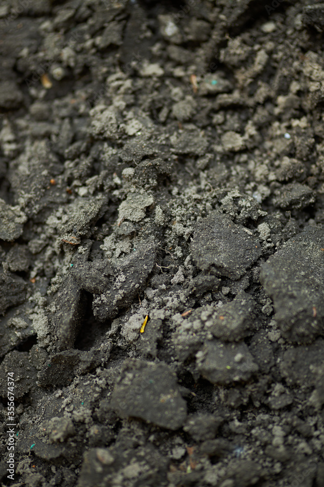 Texture of the earth. Black soil.texture of the black fertile layer of the earth close-up.