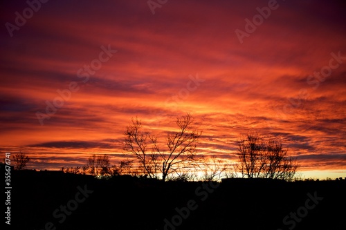 Silhouette of trees with beautiful red cloudy sunset