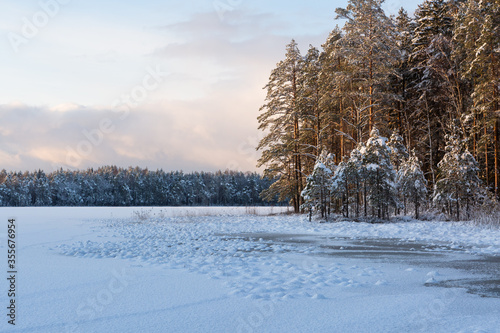 Sunny and snowy winter day in forest and marsh © EriksZ