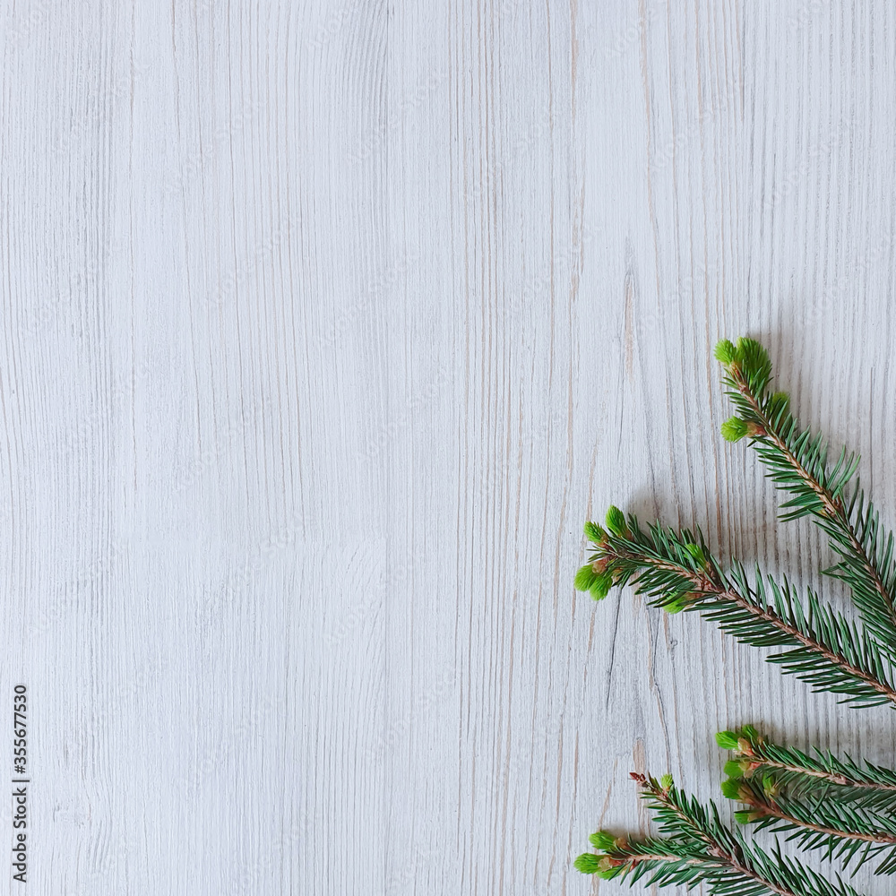 Fresh spruce fir branch on a light wooden background. The basis for the Christmas card, product background. Top view, square photo with copy cpace. Fresh spruce fir branch on a light wooden background. The basis for the Christmas card, product background. Top view, square photo with copy cpace.