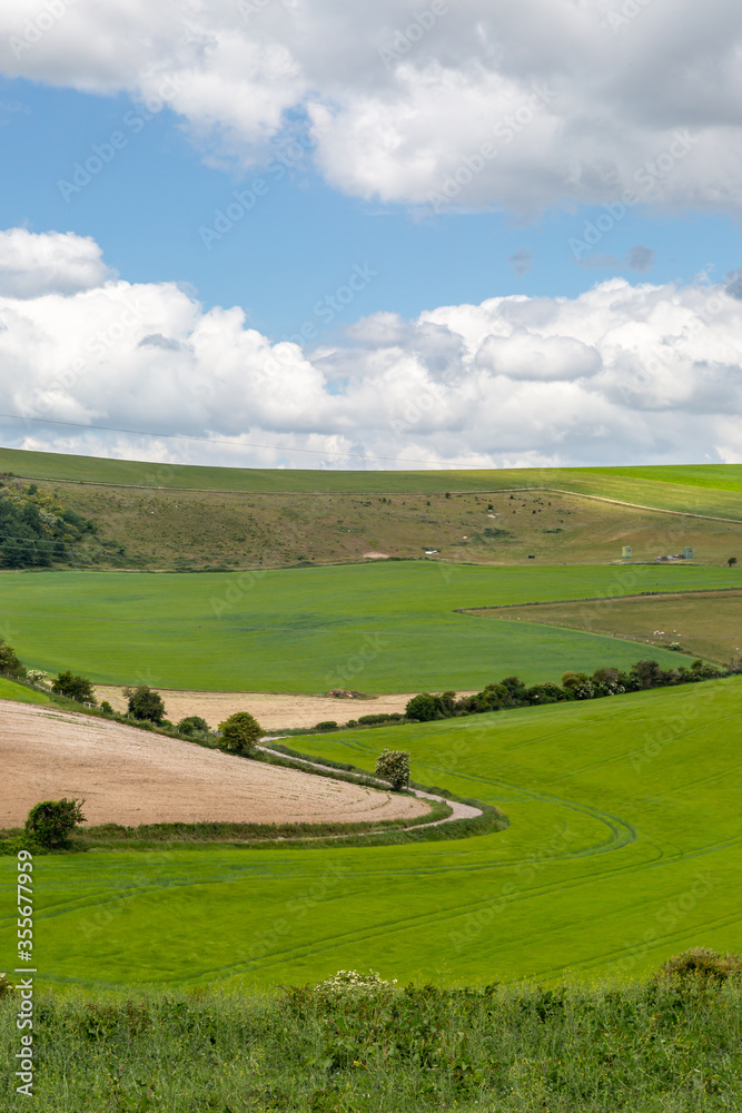 Looking out over farmland in Sussex, on an early summers day