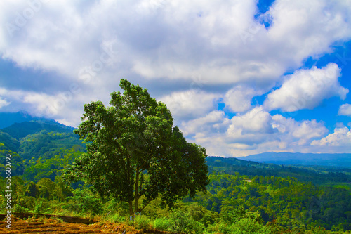 Mountain view from road to Ulun Danu, Bali, Indonesia