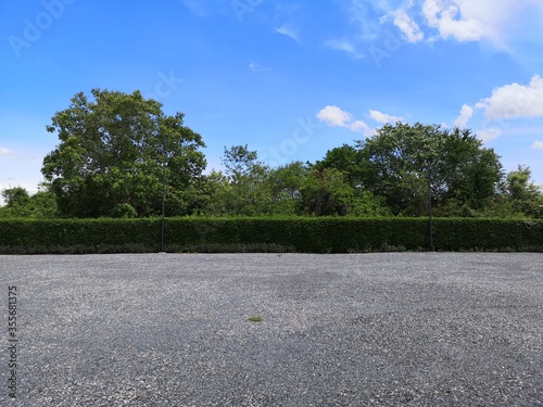 Photo Parking lot sprinkled with gravel on tree bush nature background