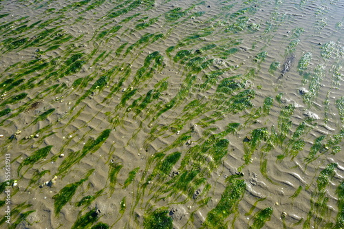 The bay of la Baule - le Pouliguen at low tide. may 2020 (town of la Baule in the west of France)