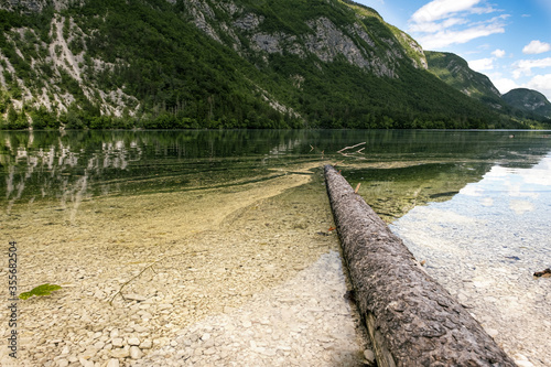 Spring on a mountain lake