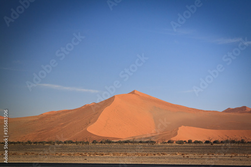 dunes in the desert