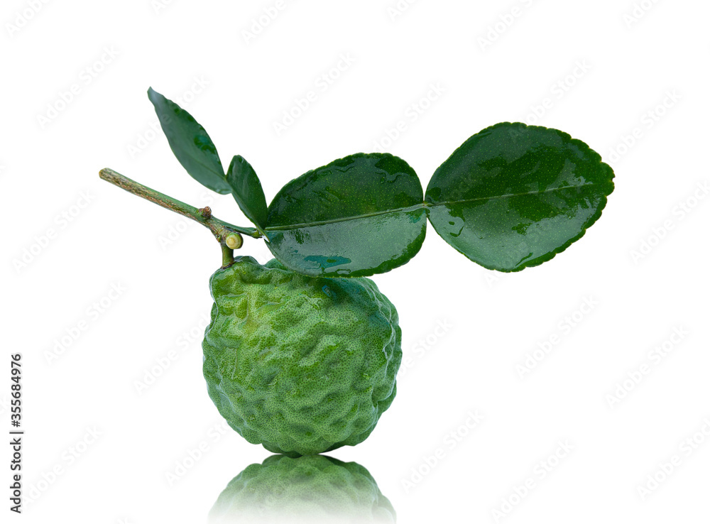 Fresh bergamot fruit with leaf isolated on white background Fresh bergamot fruit with leaf isolated on white background
