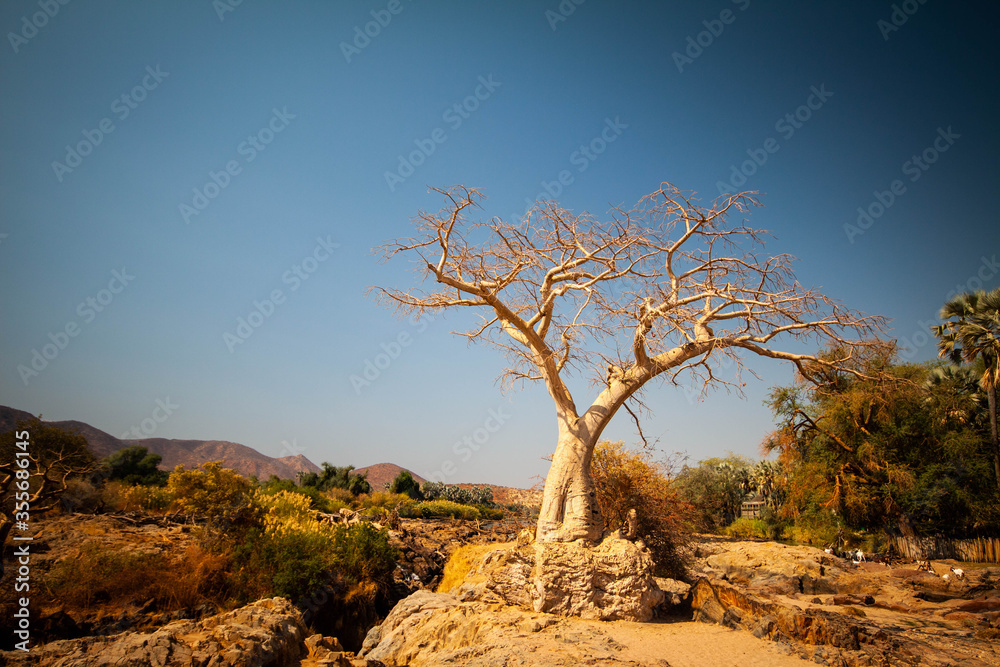 Fototapeta premium dead tree in the desert