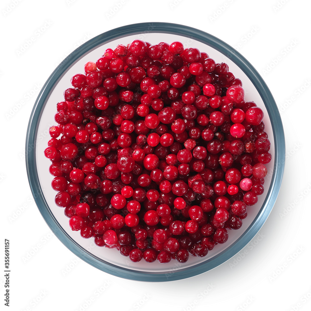 Frozen lingonberries in a glass plate on a white background. Isolated frozen berries. Top view Frozen lingonberries in a glass plate on a white background. Isolated frozen berries. Top view