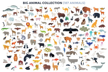 Foto auf Acrylglas Zoo Modern Infographic Template  © AKrasov