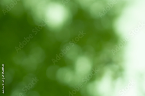 Abstract green bokeh defocused natural background