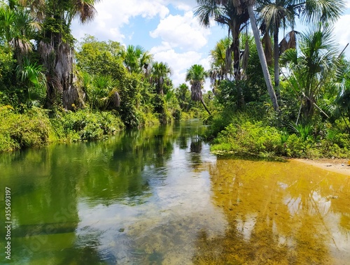 Paisagem com rio